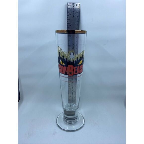 Kings Island Son of Beast Roller Coaster Amusement Park Pilsner Glass Paramount - Picture 3 of 10